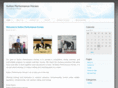 suttonperformancehorses.com