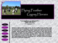 flyingfeathergypsyhorses.com