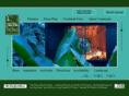 reedsisland.com