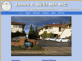 willispain.com