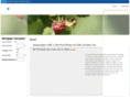 econocomputersolutions.com