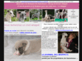 lewhippet.com