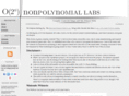 nonpolynomial.com