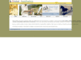 globalaesthetics.org