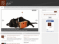 moderncatstudio.com