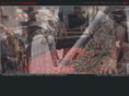 wecphotos.com