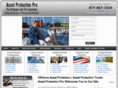 asset-protection-institute.com