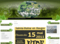 cf-saintereine.com