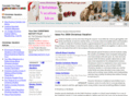 christmasvacation-package.com