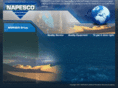 napescoegypt.com