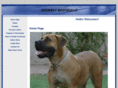 shombayboerboels.com