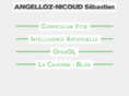 angelloznicoud.com