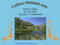 calflow-wetlands.com