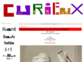 curieuxdetrucs.com