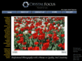 crystalfocusphotography.com