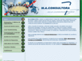 maconsultora.com