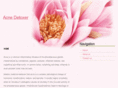 acnedetoxer.com