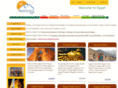 egypttoursholidays.com