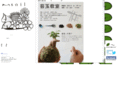 soil-flower.com
