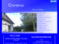 surveyor-chanteloup.com