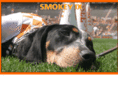 tennesseespack.com