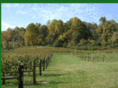 tollgatefarm.com