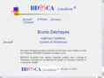 bdsysca.com