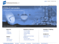 cdi-professionalservices.com