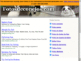 fotosdeconejos.com