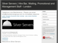 silverserversgroup.com