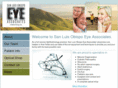 sloeyeassociates.com