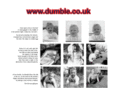 dumble.co.uk