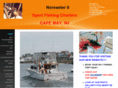 noreaster11.com