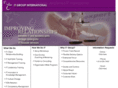 it-groupinternational.com