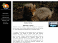 kenya-wildlife.com