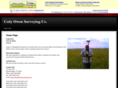 owensurveying.com