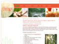 seattleenergymedicine.com