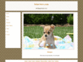 briarview.com