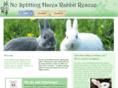 nosplittinghares.com