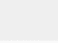 astic-valve.com