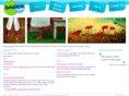 bouncetheatre.com