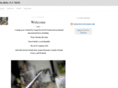 globalflies.com