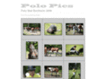 polo-media.com