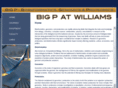 williamsbigp.com