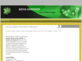 adivagraphics.com