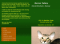 bersharcattery.com