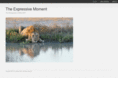 theexpressivemoment.com