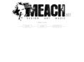 themeach.net