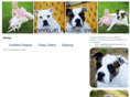 americanbulldogsiowa.com