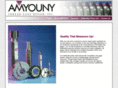 amyounythreadgage.com